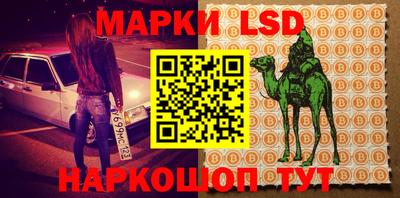 гидропоника Аша