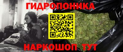 гидропоника Аша