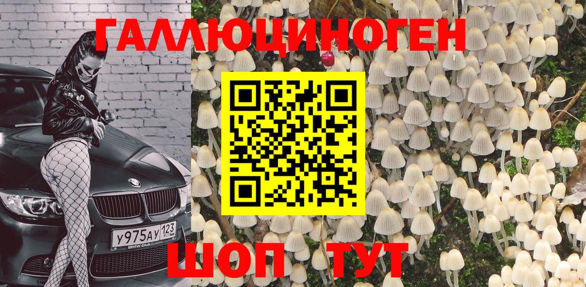 Городец  хочу наркоту  Вход с VPN  Галлюциногенные грибы Magic Shrooms  Галлюциногенные грибы Psilocybine cubensis 
